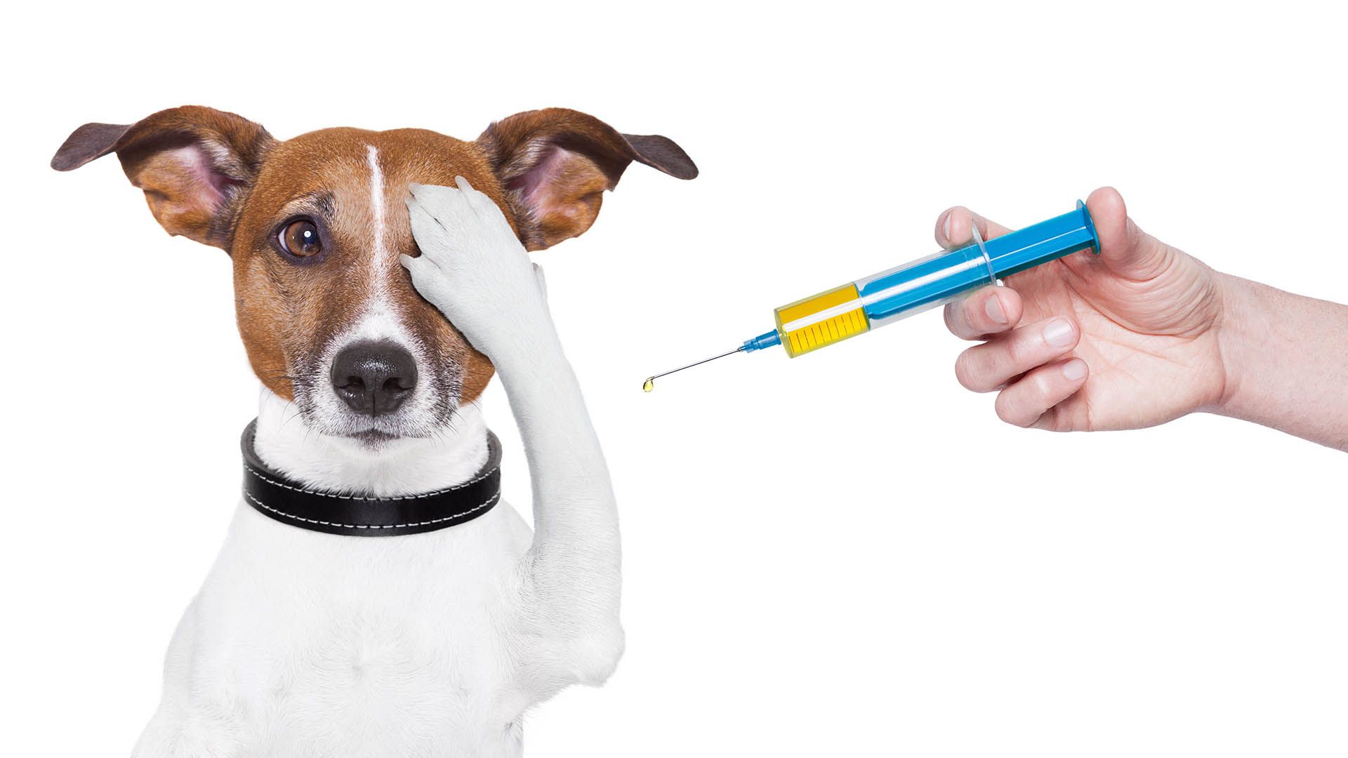 Injected Medication Administration